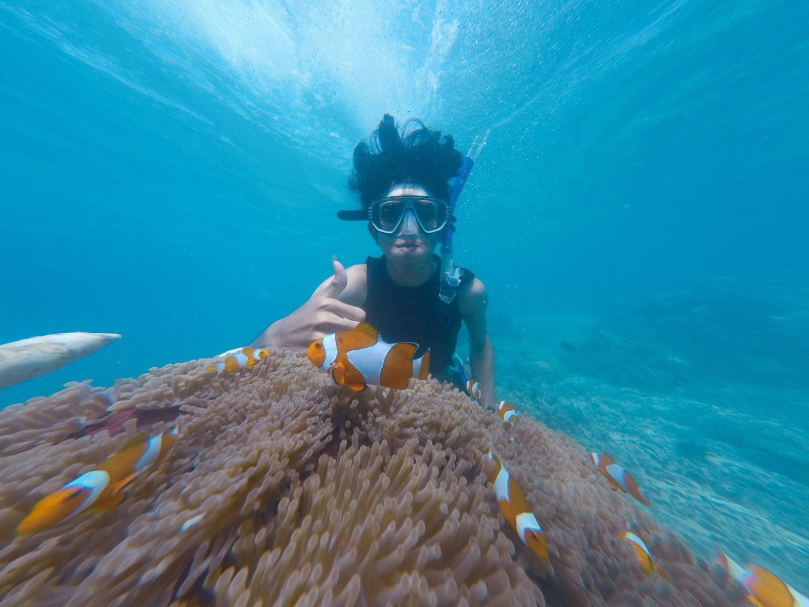 Snorkling