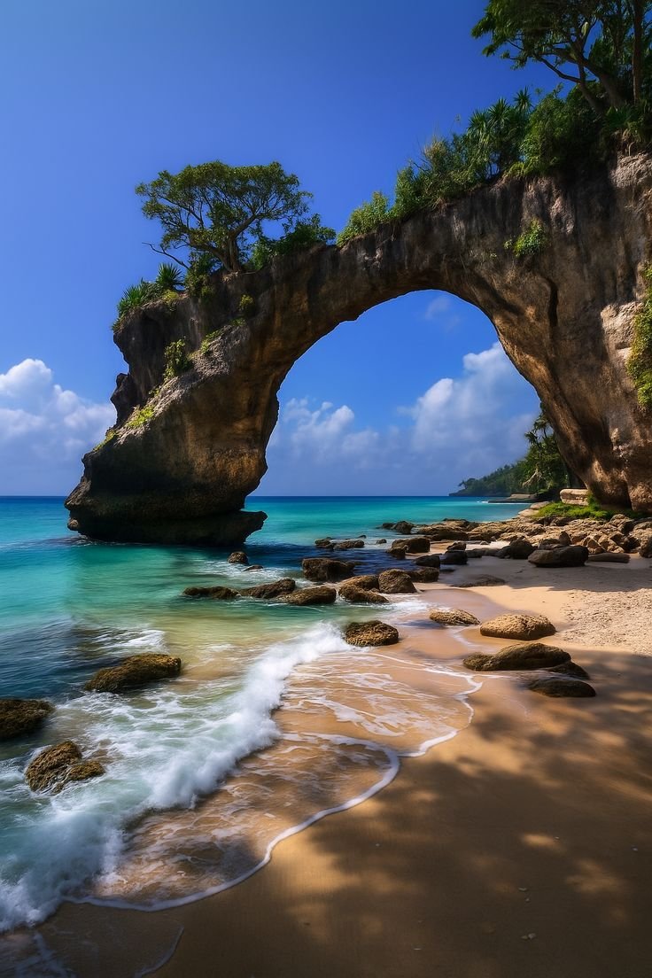 Blue Horizon: Andaman Grand Explorer (5N/6D)